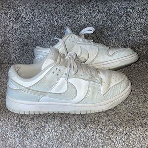 Nike Photon Dust Dunk Low